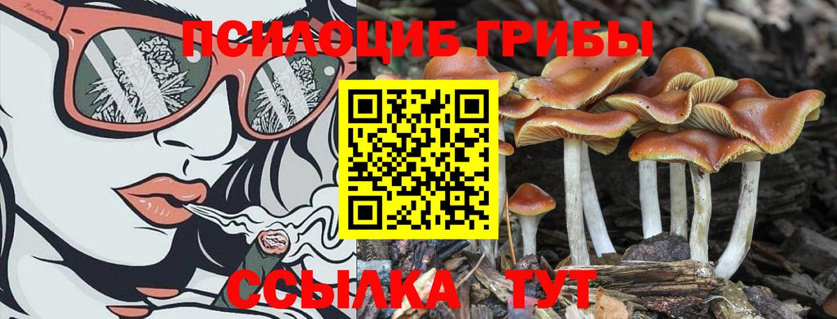 Сертолово  Галлюциногенные грибы ЛСД  Вход с VPN 